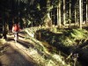 Singletrail